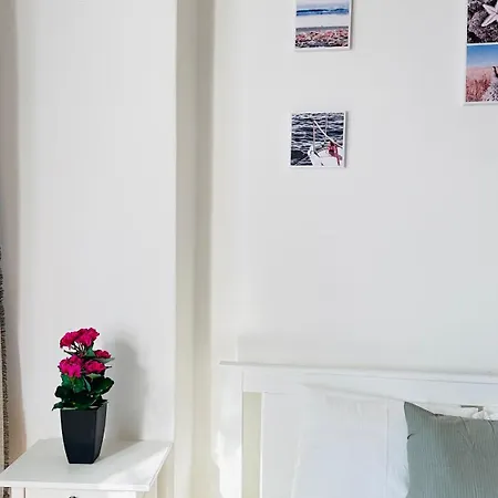 Homestay Rakoczi 59